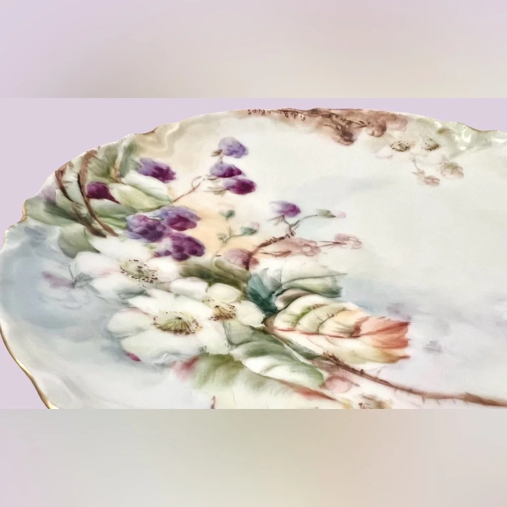 Haviland France Limoges Porcelain Decor Plates - Early 1900s